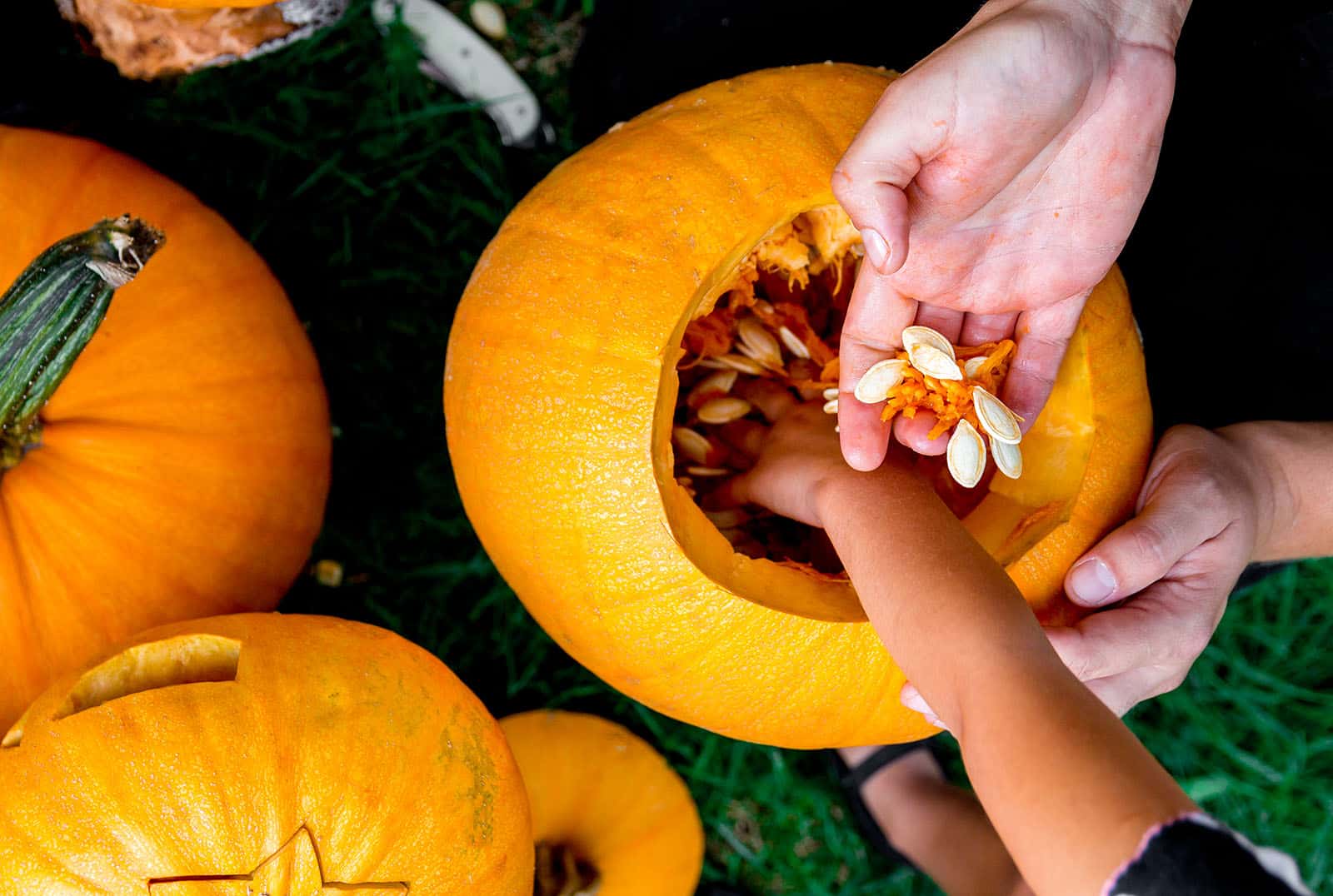 Tallado de Calabaza