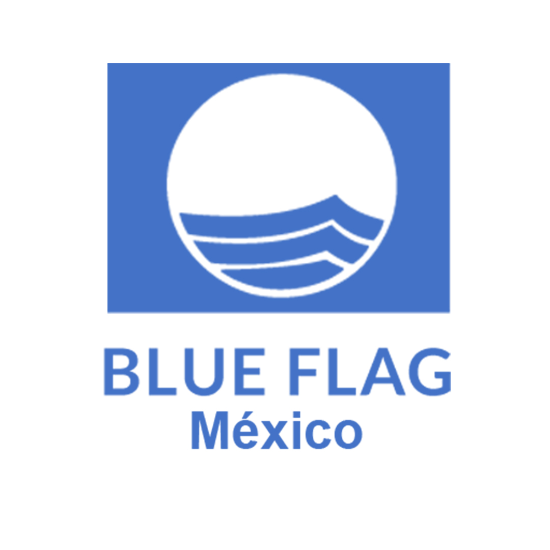 blue flag hard rock hotel cancun