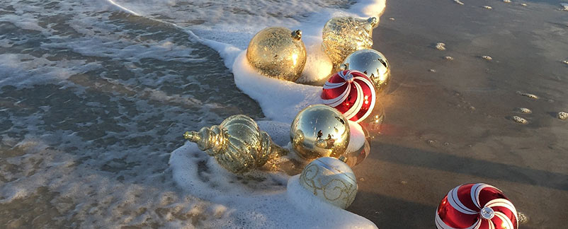 Actividades de invierno en la playa hard rock hotel vallarta