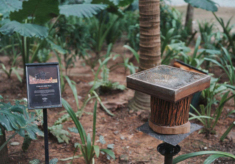 a bird feeder in a garden