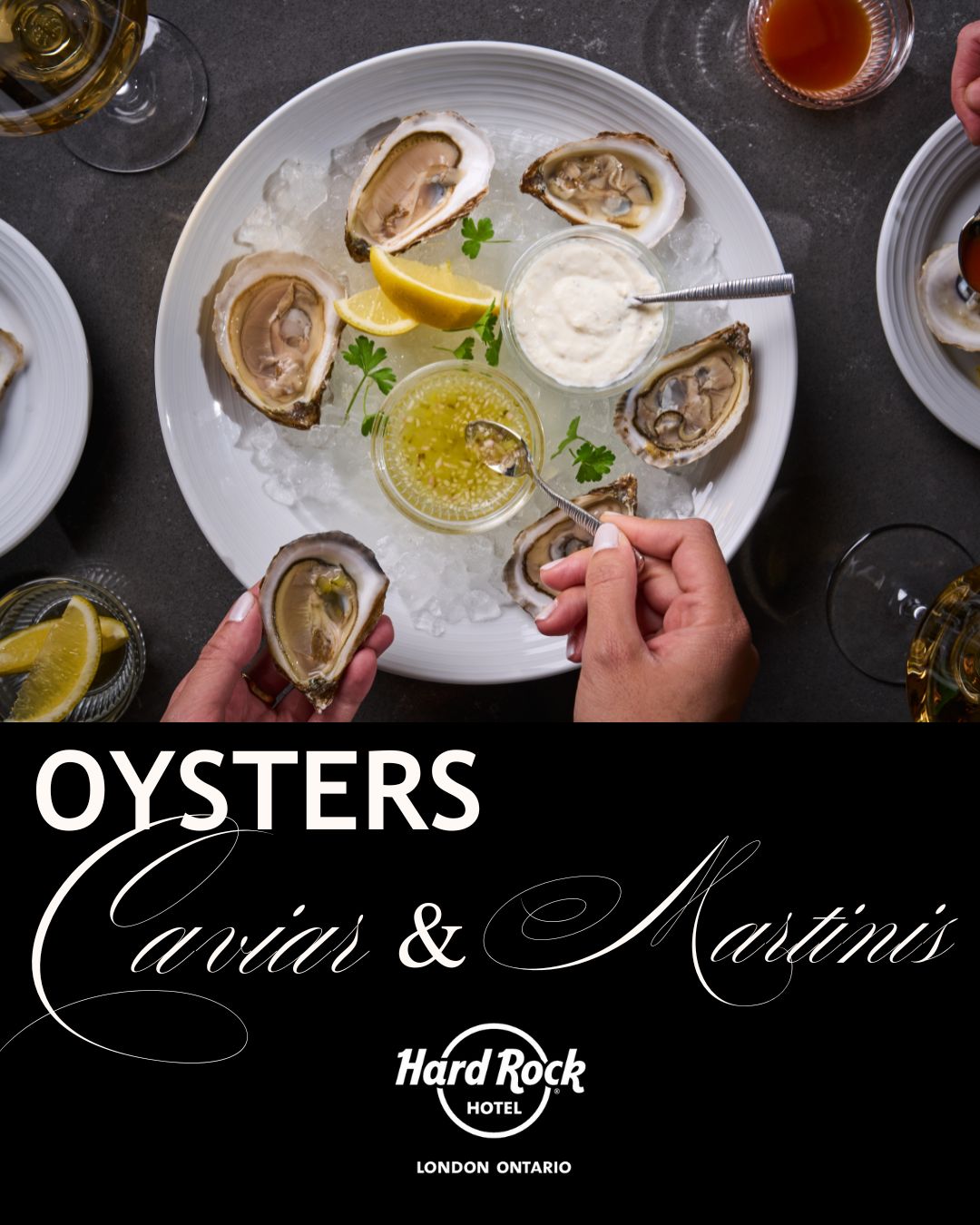 Shuck, Sip, & Serenade - Oysters, Caviar & Martinis Fridays in October