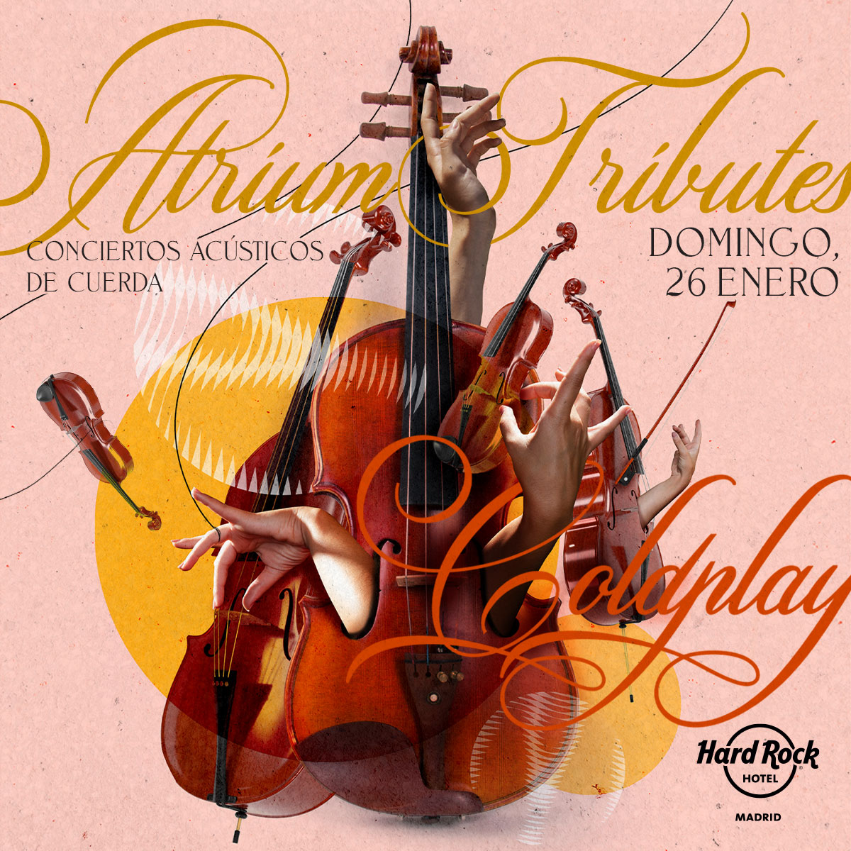 Atrium Quartet - conciertos acústicos de cuerda