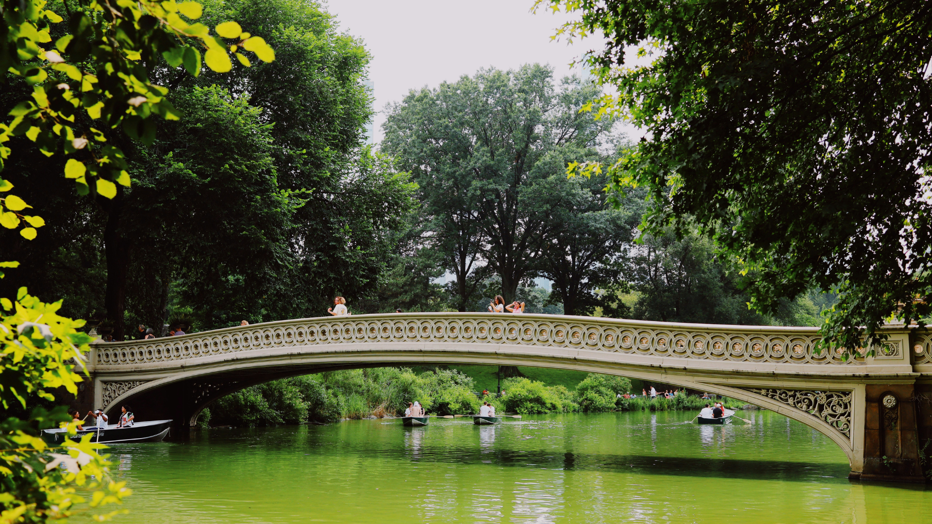 Central Park
