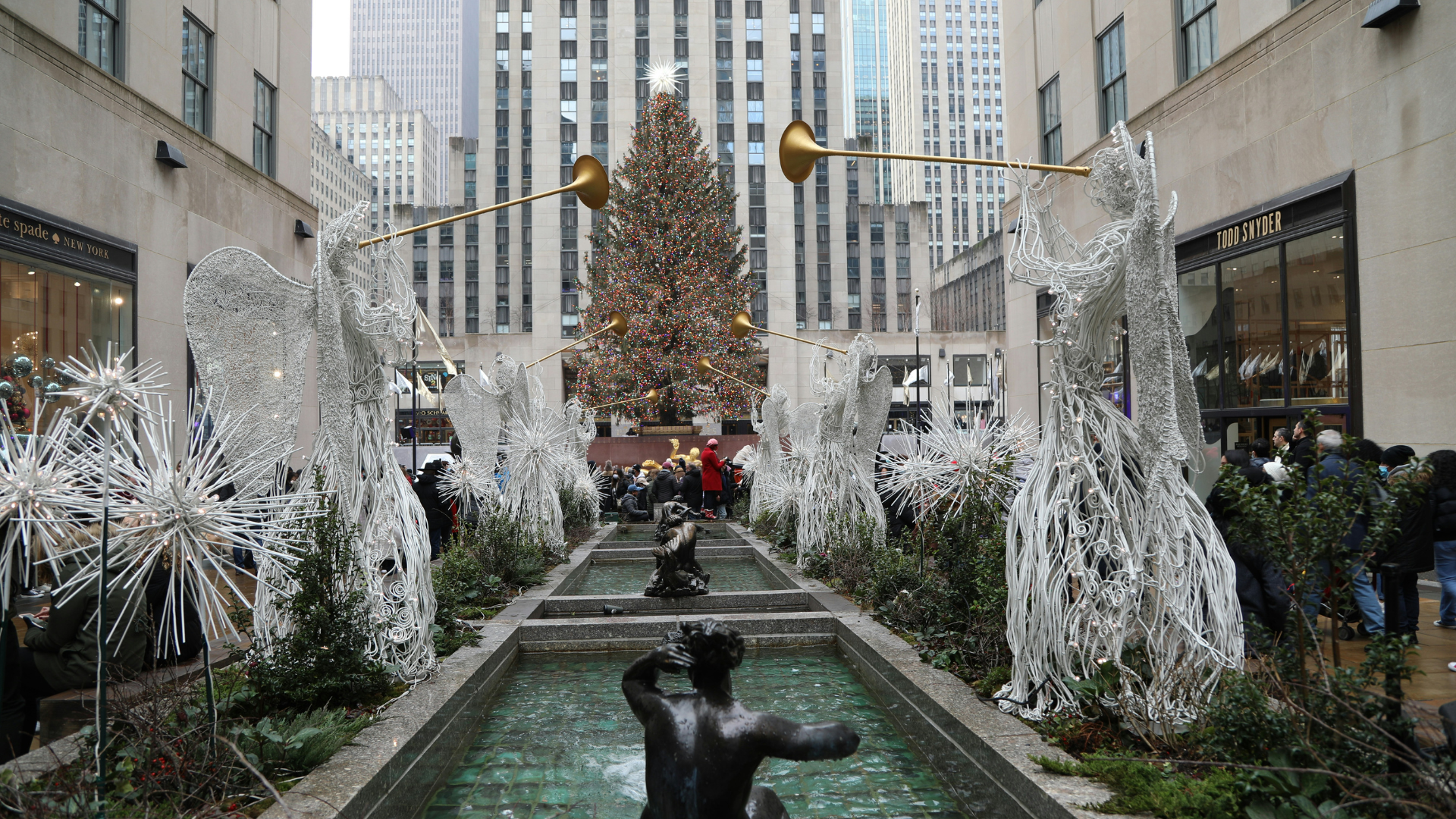 Tree at Rockefeller Center