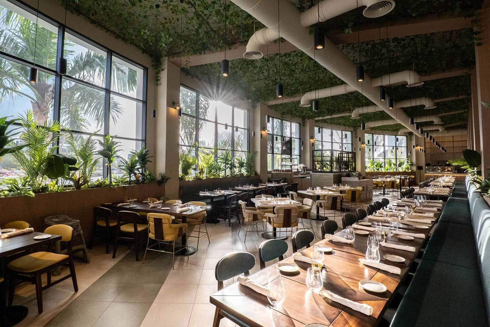 Restaurantes Hard Rock Punta Cana