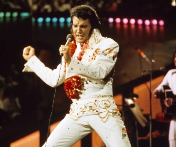💿 Elvys Presley Tribute Show 